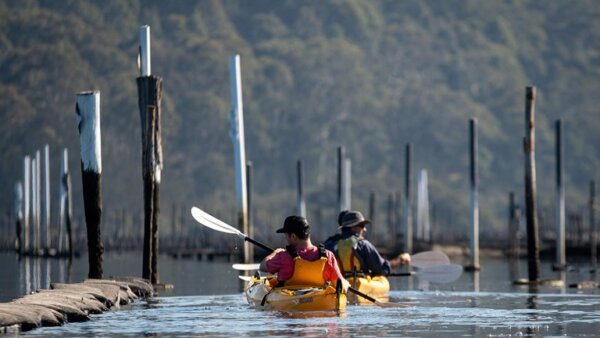 Batemans Bay Oyster Industry gets introduced to USA