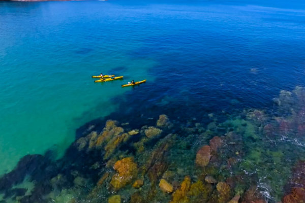 half day kayak tour